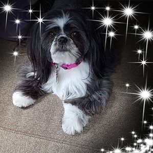 Meet your Posher, Sharon